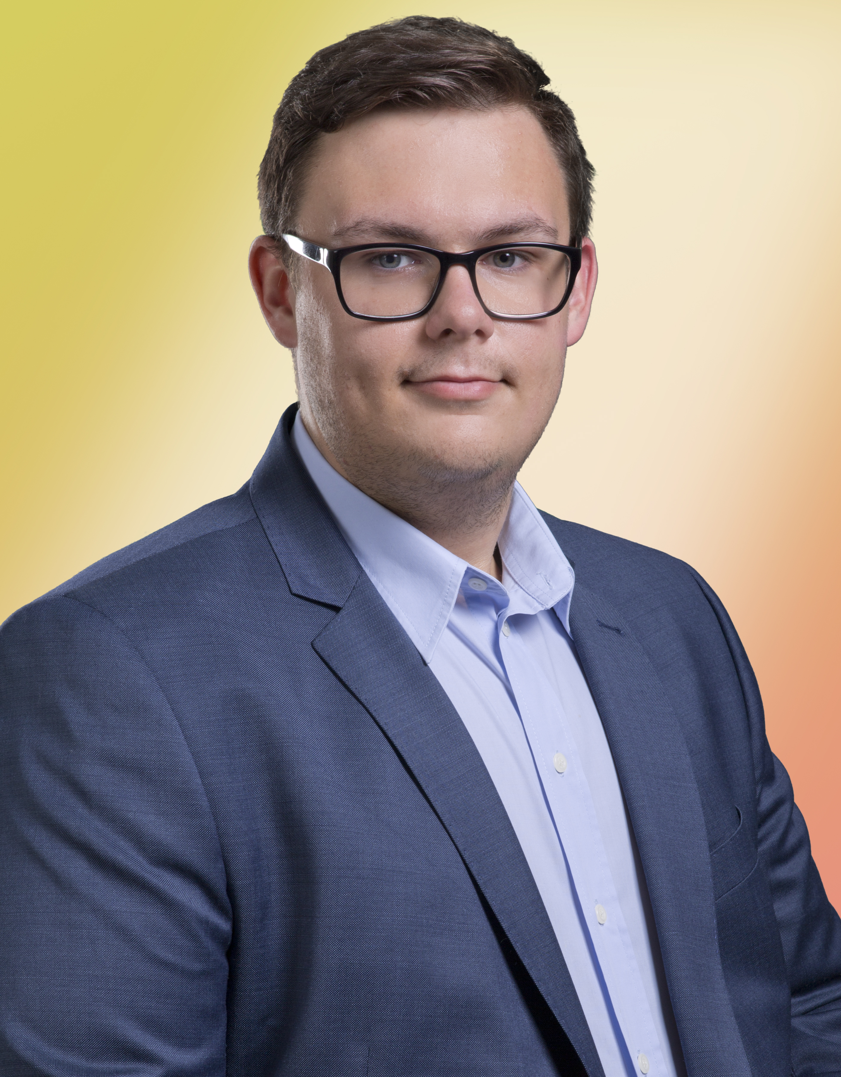 Georg Pisarevic BA Georg Pisarevic